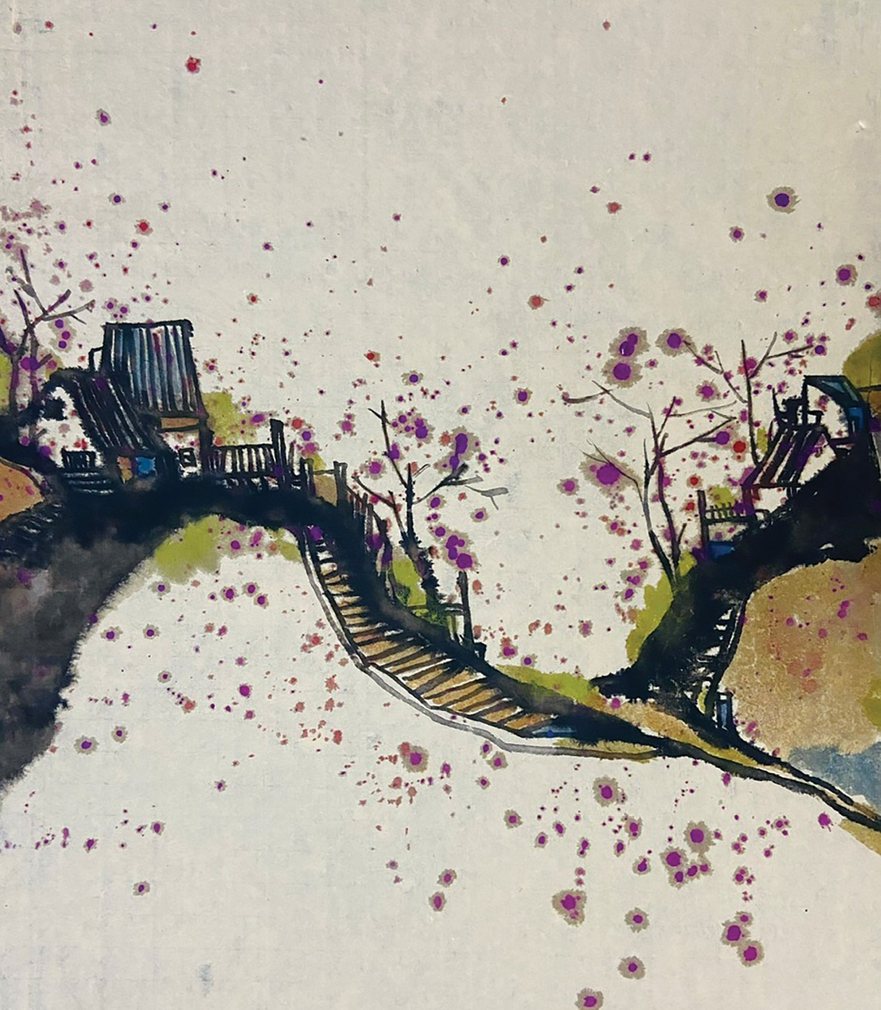 Hoa tầm xuân ngái ngủ Hoa tầm xuân ngái ngủ