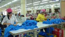 Yêu cầu nắm bắt kịp thời tình hình lao động, việc làm sau kỳ nghỉ Tết