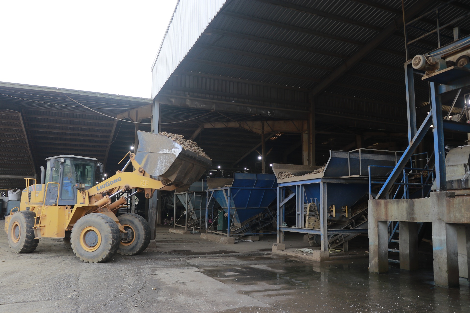 Sắn vào mùa, được giá, công nhân làm việc xuyên Tết