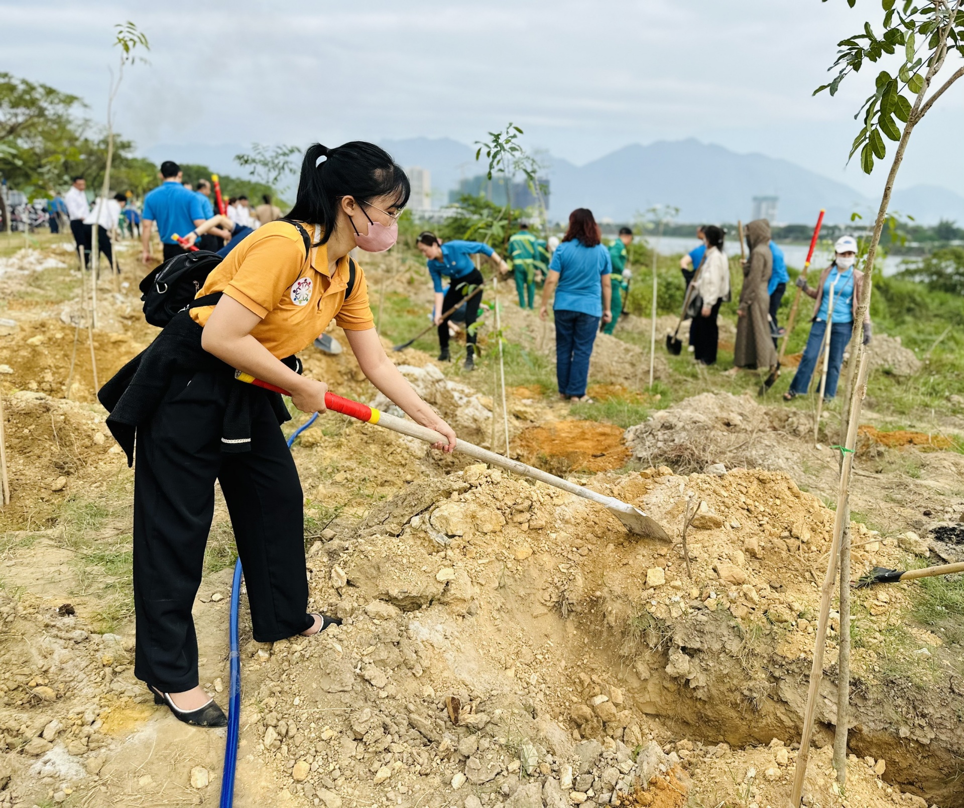 LĐLĐ Đà Nẵng: “Sẵn sàng phân bổ cây xanh cho doanh nghiệp có nhu cầu”