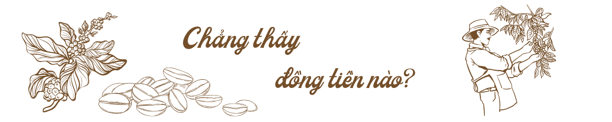 Cây cà phê trong sương giá Sơn La Cây cà phê trong sương giá Sơn La