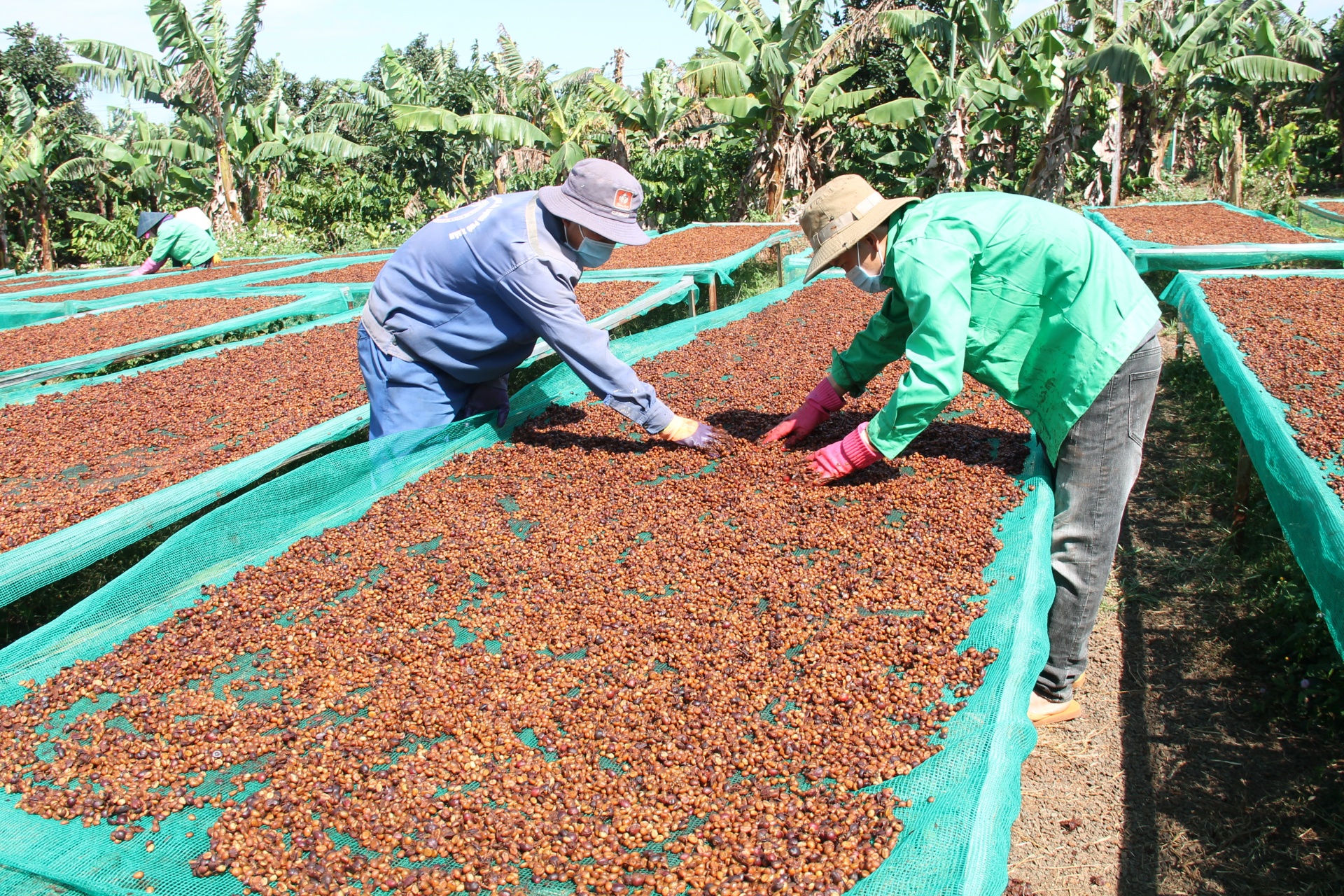 Ăn Tết với... cà phê