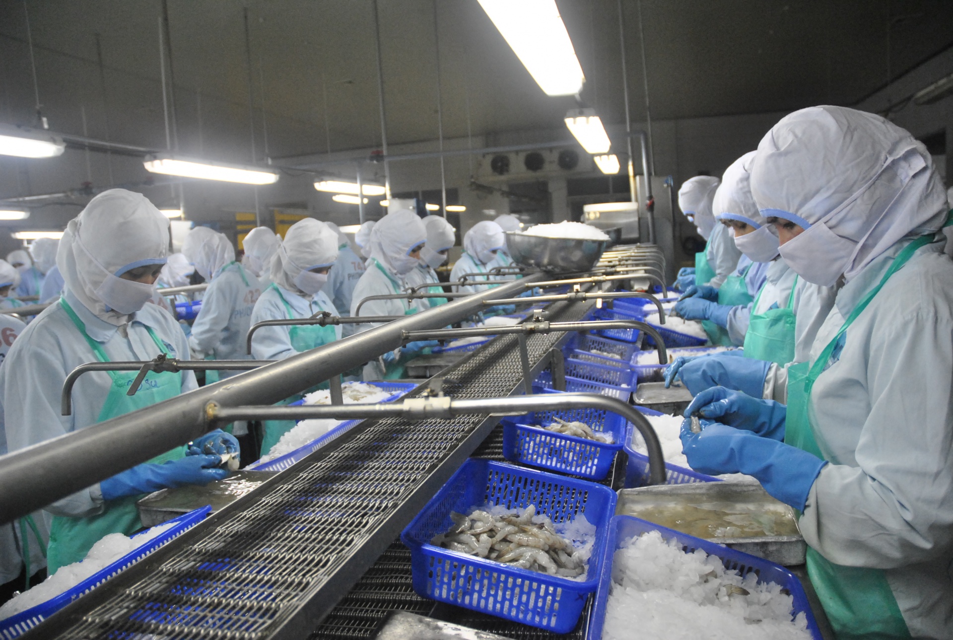 Làn sóng di cư và những cuộc ly hương đầy nước mắt