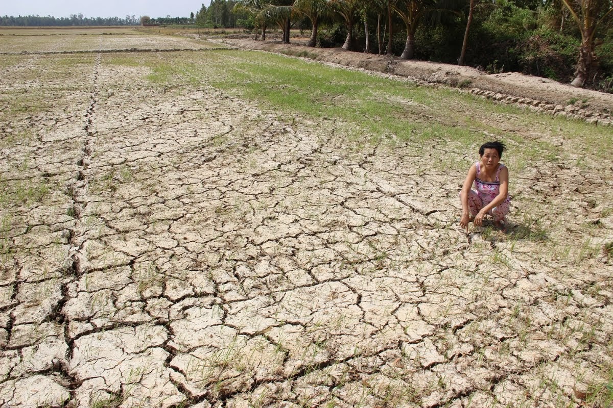 Làn sóng di cư và những cuộc ly hương đầy nước mắt