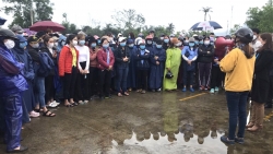 Điều hòa lợi ích các bên để hạn chế ngừng việc