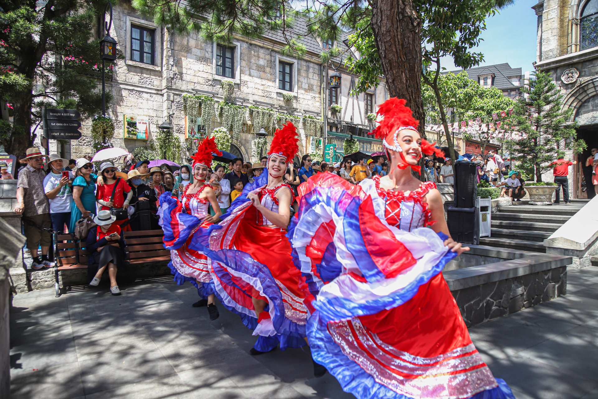 Check-in những vườn hoa nở rộ đúng dịp 8/3