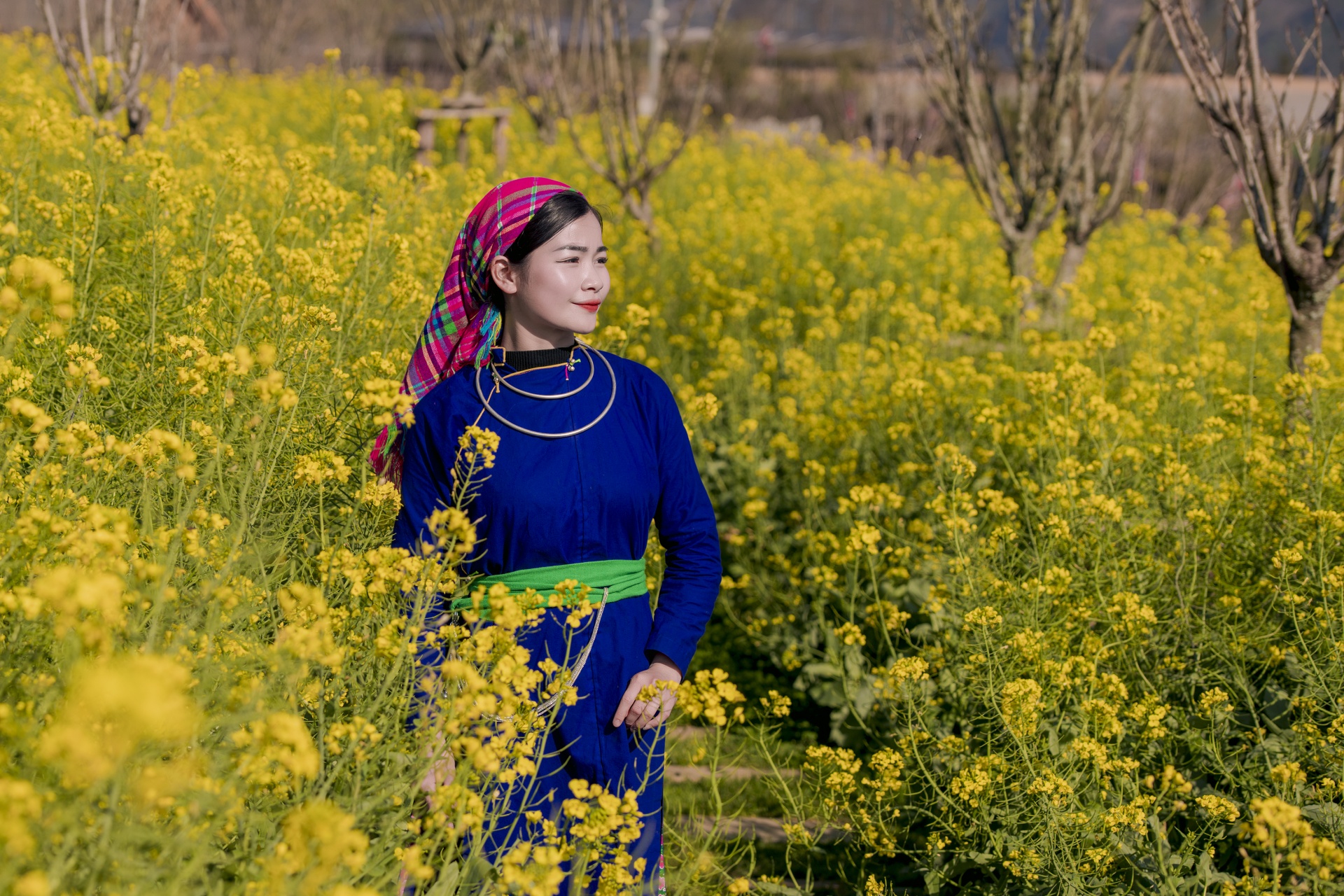 Check-in những vườn hoa nở rộ đúng dịp 8/3