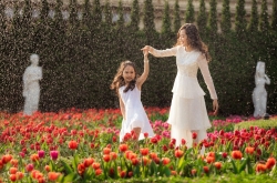 Check-in những vườn hoa nở rộ đúng dịp 8/3