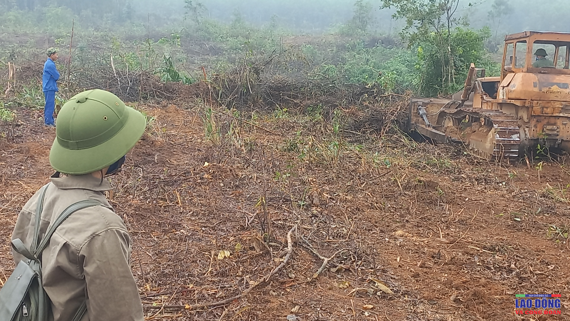 Nữ đảng viên gắn bó với nghề rừng