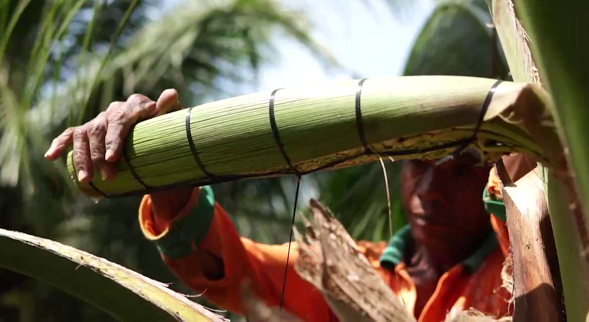 Cô gái Khmer với hành trình “làm hoa rót mật cho đời” Cô gái Khmer với hành trình “làm hoa rót mật cho đời”