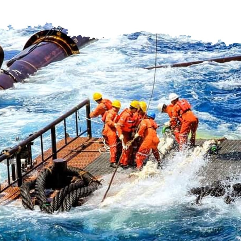 Những đóa hoa của biển