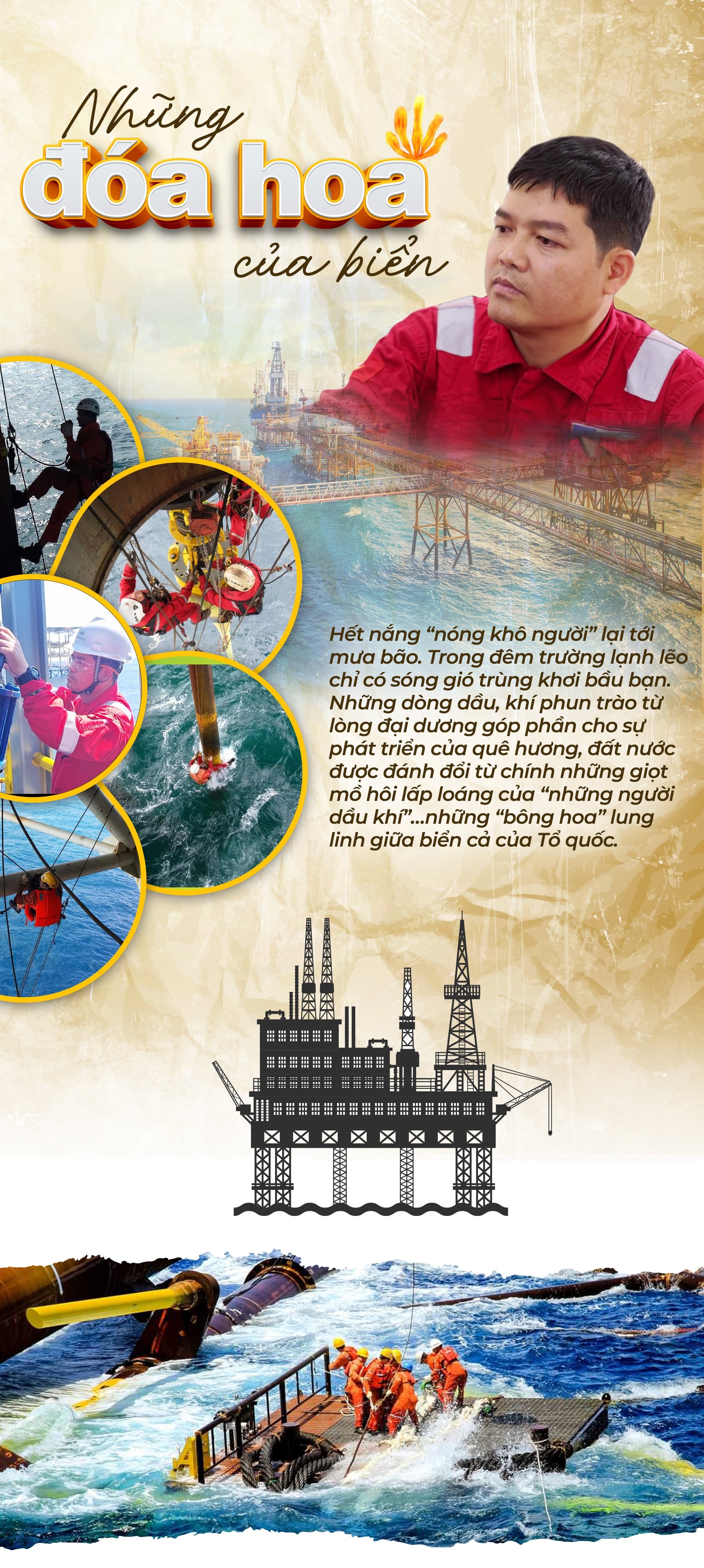 Những đóa hoa của biển Những đóa hoa của biển