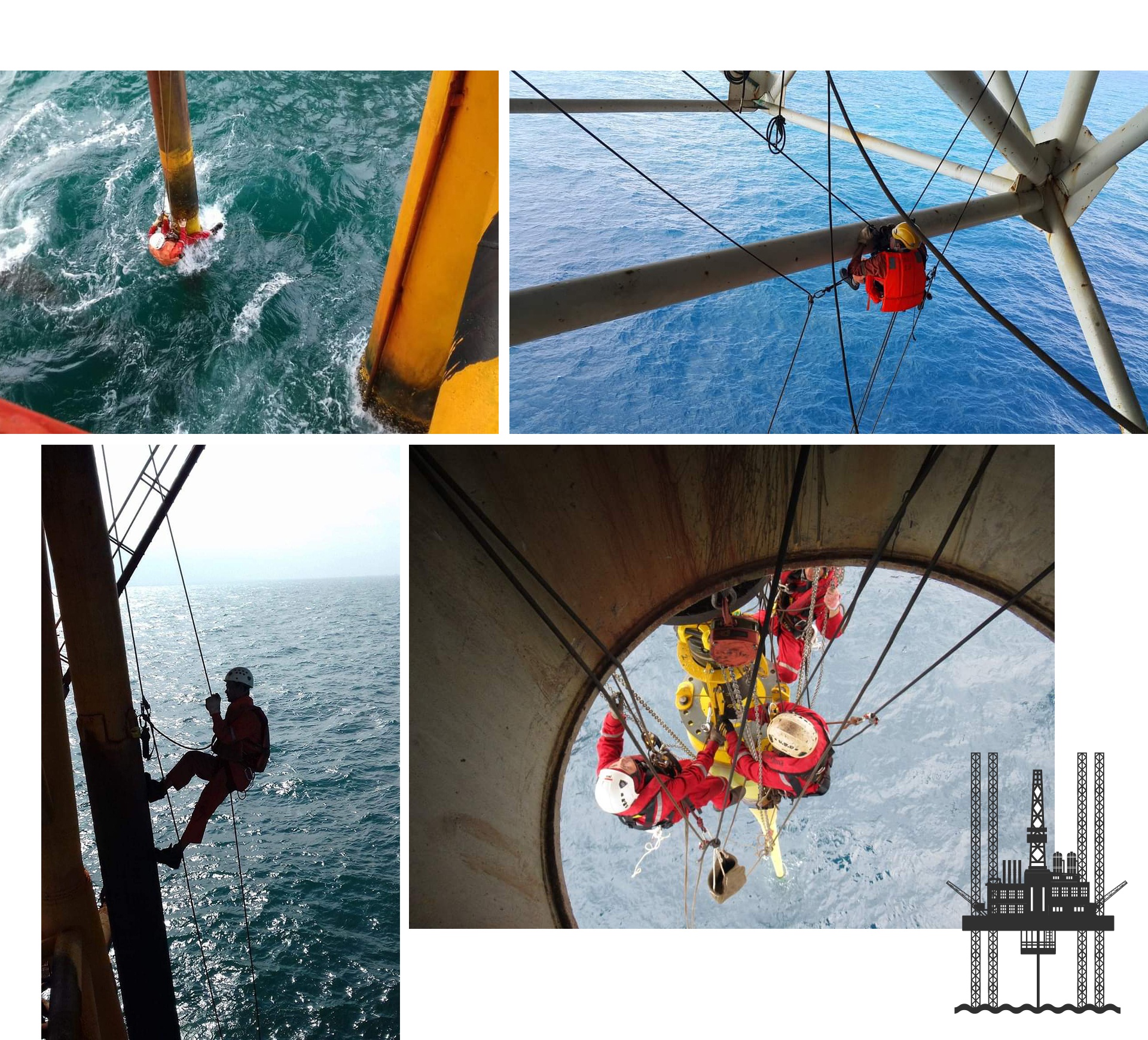 Những đóa hoa của biển Những đóa hoa của biển