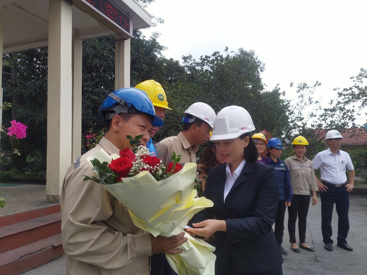 Vùng than xanh nắng mùa sau