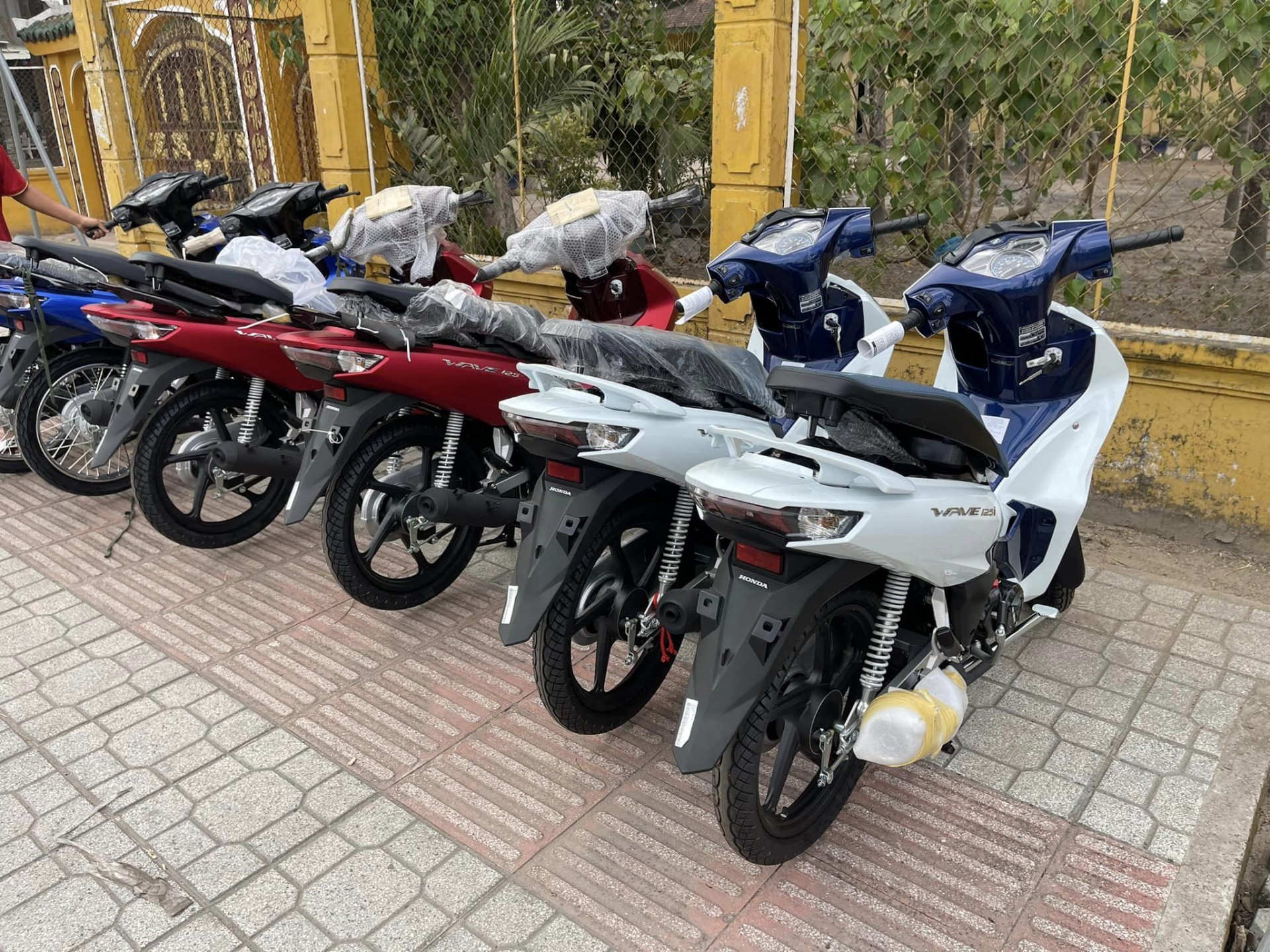 Cận cảnh Honda Wave 125i 2024 nhập Thái Lan với giá hơn 60 triệu đồng Cận cảnh Honda Wave 125i 2024 nhập Thái Lan với giá hơn 60 triệu đồng
