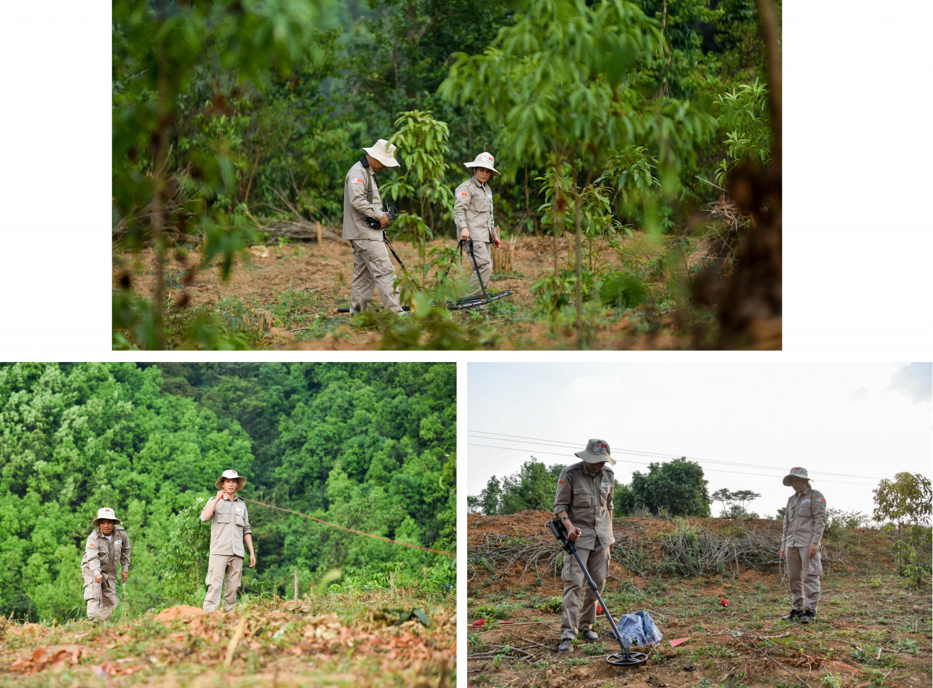 Những người hồi sinh “vùng đất chết”