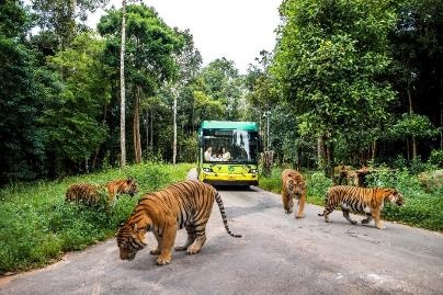 POBA ký kết ghi nhớ xúc tiến chương trình phúc lợi tại Vinpearl cho viên chức