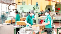 Sau cải cách tiền lương 1/7, 9 trường hợp này hưởng mức tăng lương đáng kể