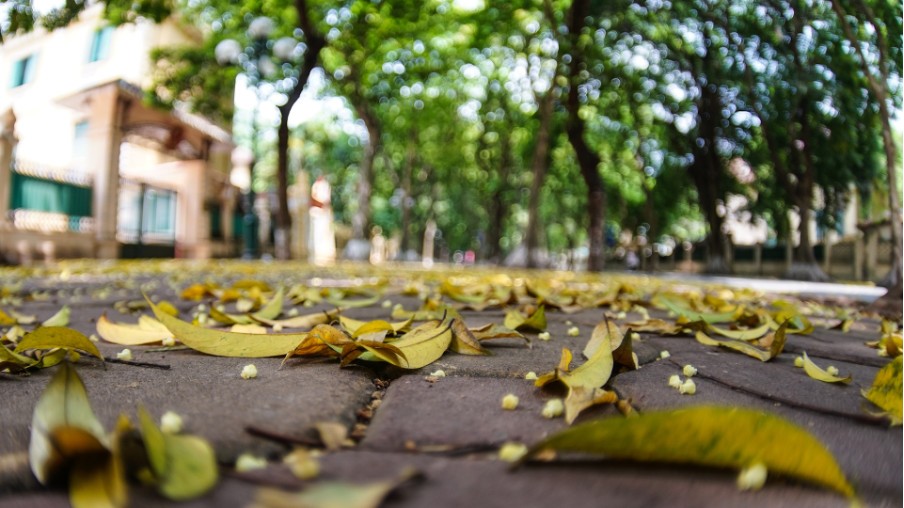 Gợi ý góc check-in cực chill không thể bỏ lỡ dịp lễ 30/4 ngay trong lòng Hà Nội Gợi ý góc check-in cực chill không thể bỏ lỡ dịp lễ 30/4 ngay trong lòng Hà Nội