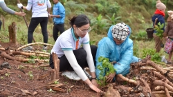 ABBANK thành công gây quỹ 50.000 cây gỗ lớn cho các gia đình khó khăn tỉnh Quảng Bình