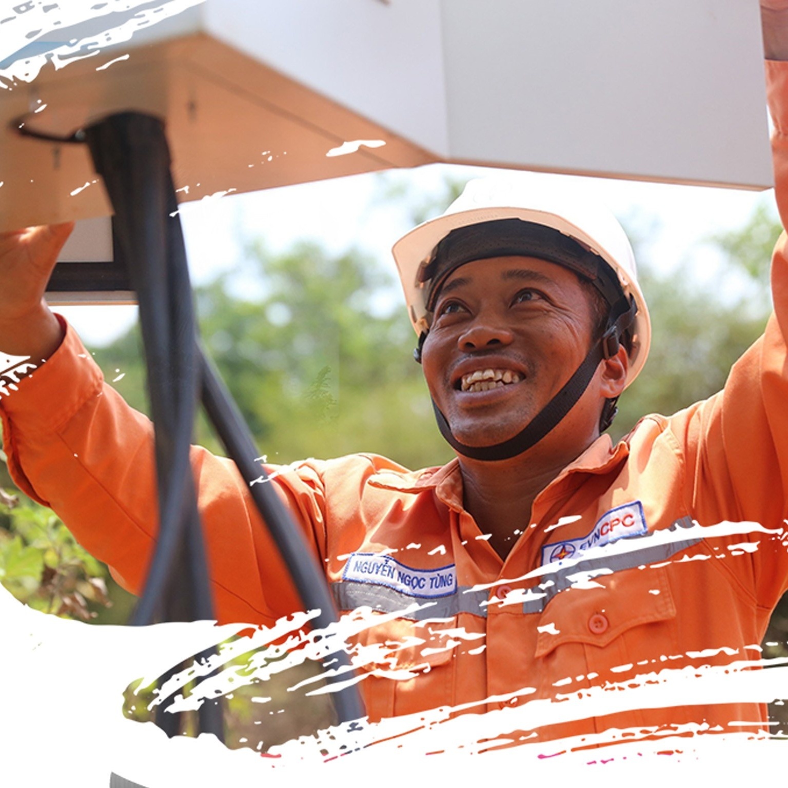 Gặp “Tùng inox” giữa buôn làng Tây Nguyên