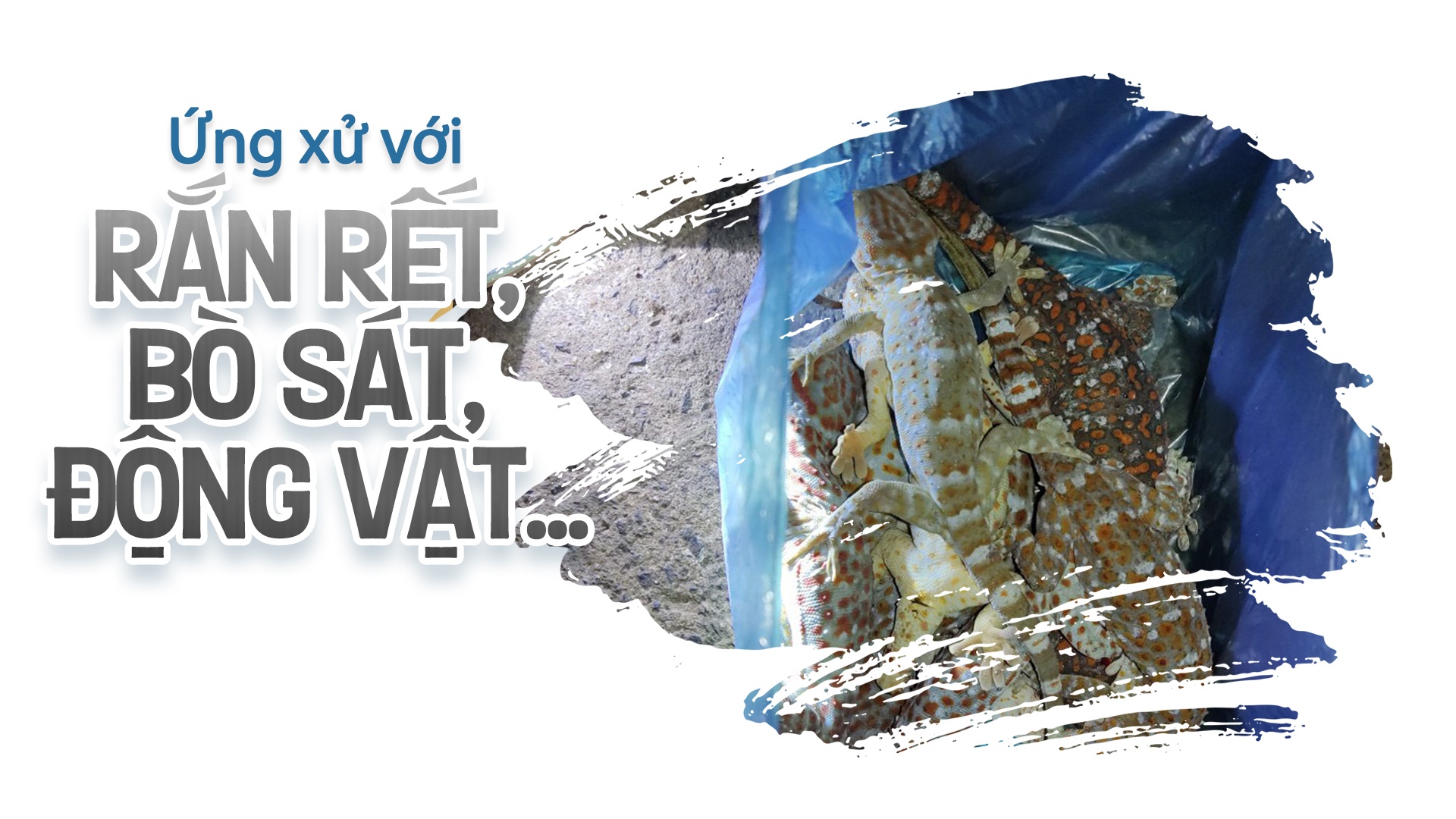 Phóng sự Đời thợ: Gặp “Tùng inox” giữa buôn làng Tây Nguyên Phóng sự Đời thợ: Gặp “Tùng inox” giữa buôn làng Tây Nguyên