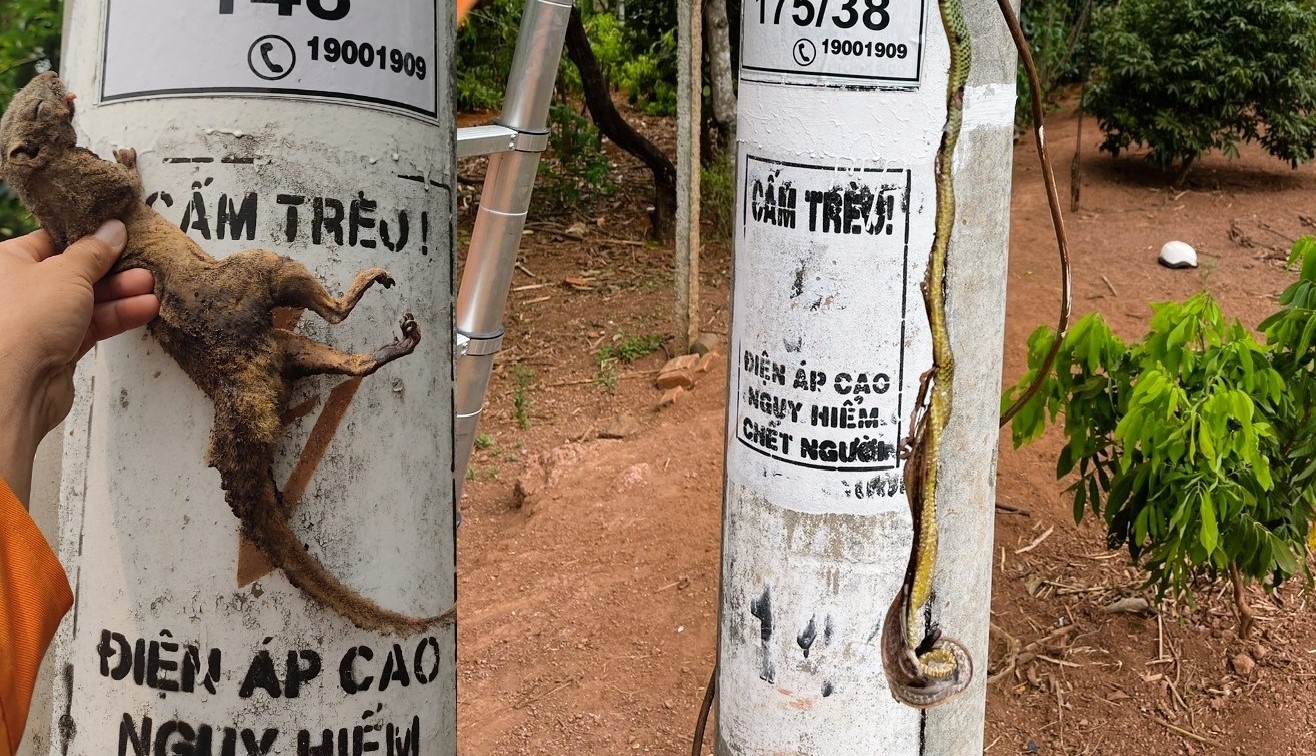 Phóng sự Đời thợ: Gặp “Tùng inox” giữa buôn làng Tây Nguyên Phóng sự Đời thợ: Gặp “Tùng inox” giữa buôn làng Tây Nguyên