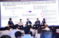 Lộ trình chuyển đổi và giải pháp kỹ thuật cho các doanh nghiệp