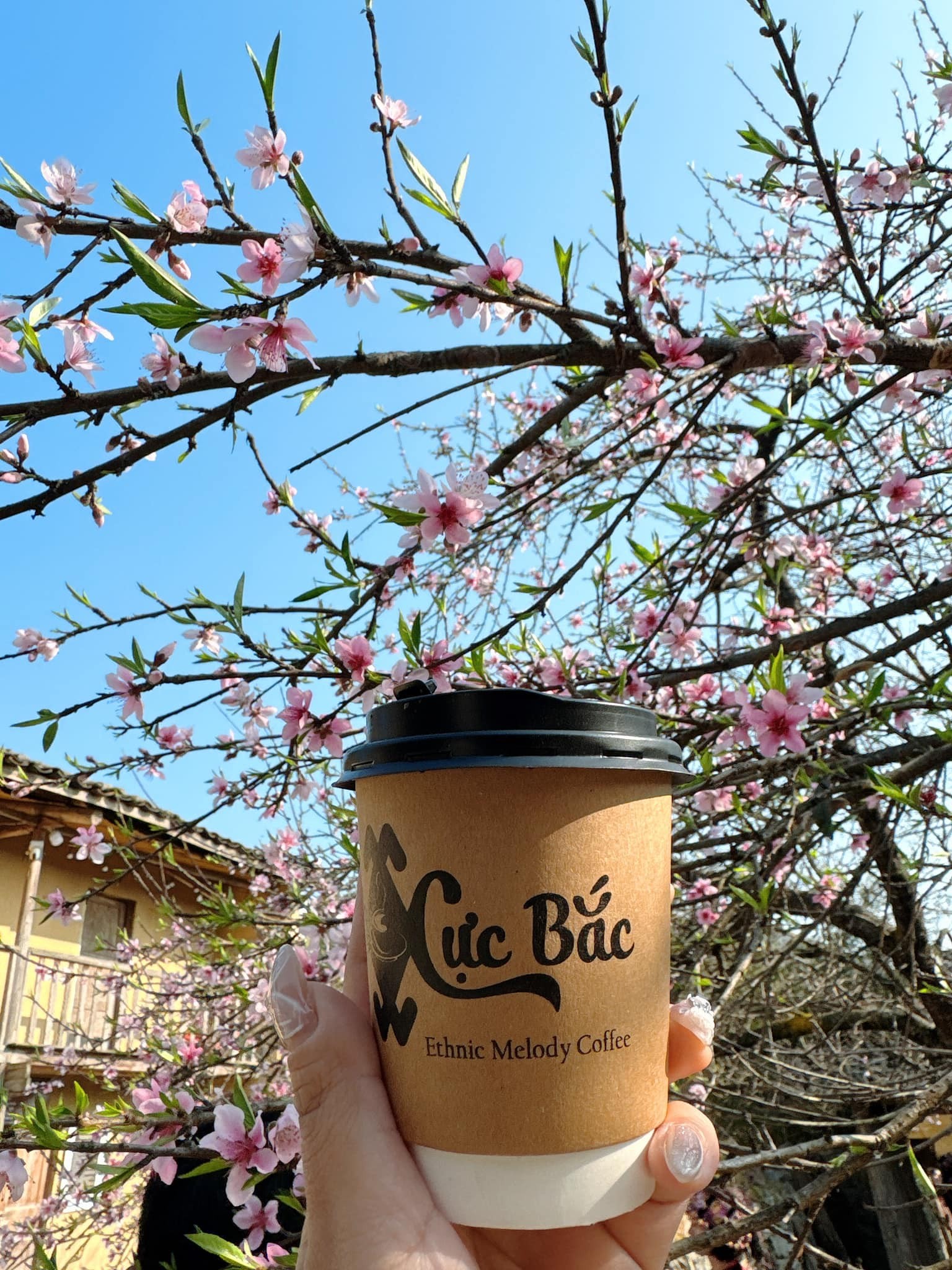 Mẹ trẻ Hà Nội chia sẻ kinh nghiệm cầm lái ô tô đường đèo Hà Giang Mẹ trẻ Hà Nội chia sẻ kinh nghiệm cầm lái ô tô đường đèo Hà Giang