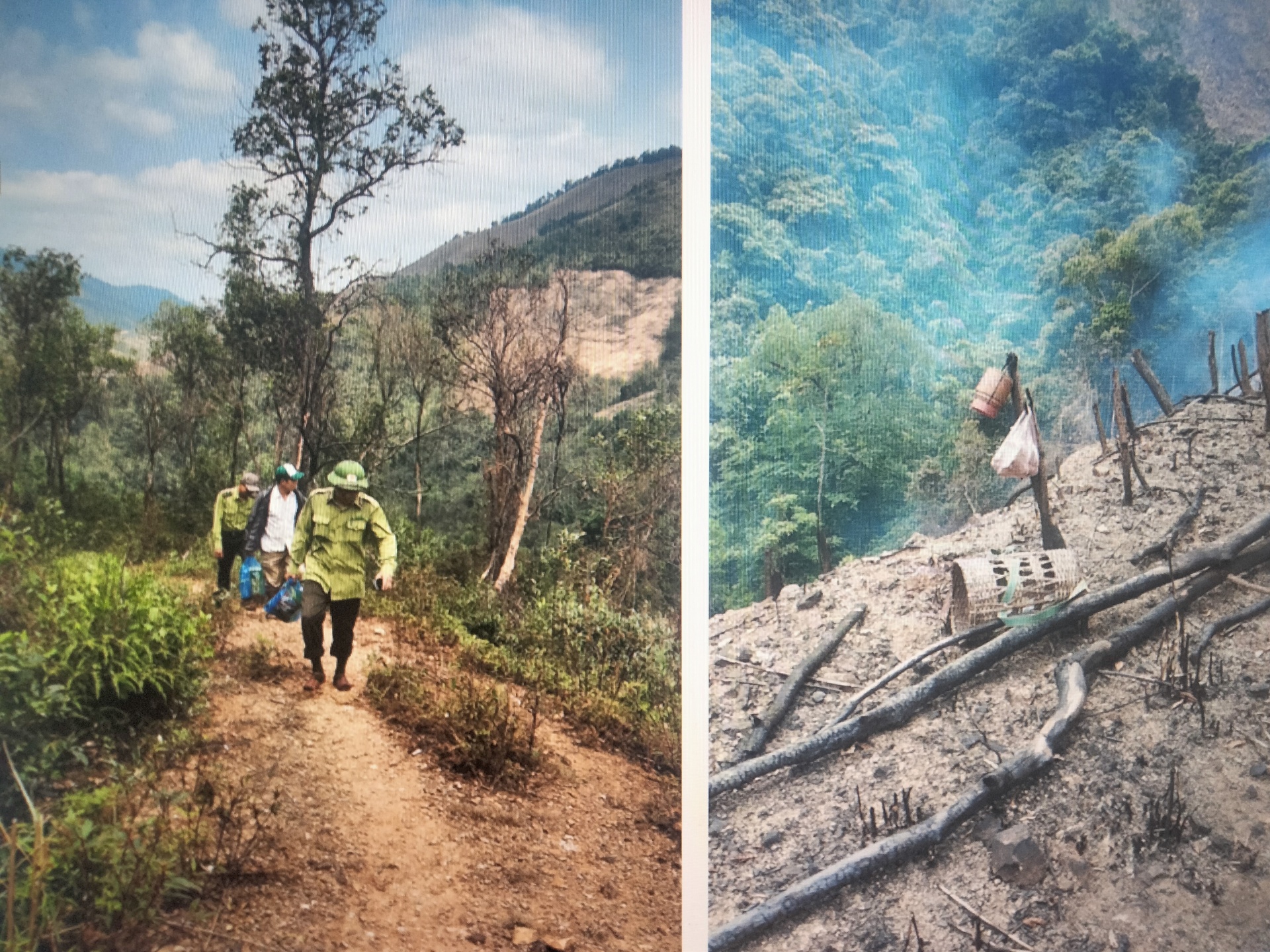 Sáng tạo để phục vụ tốt công tác quản lý, bảo vệ rừng Sáng tạo để phục vụ tốt công tác quản lý, bảo vệ rừng