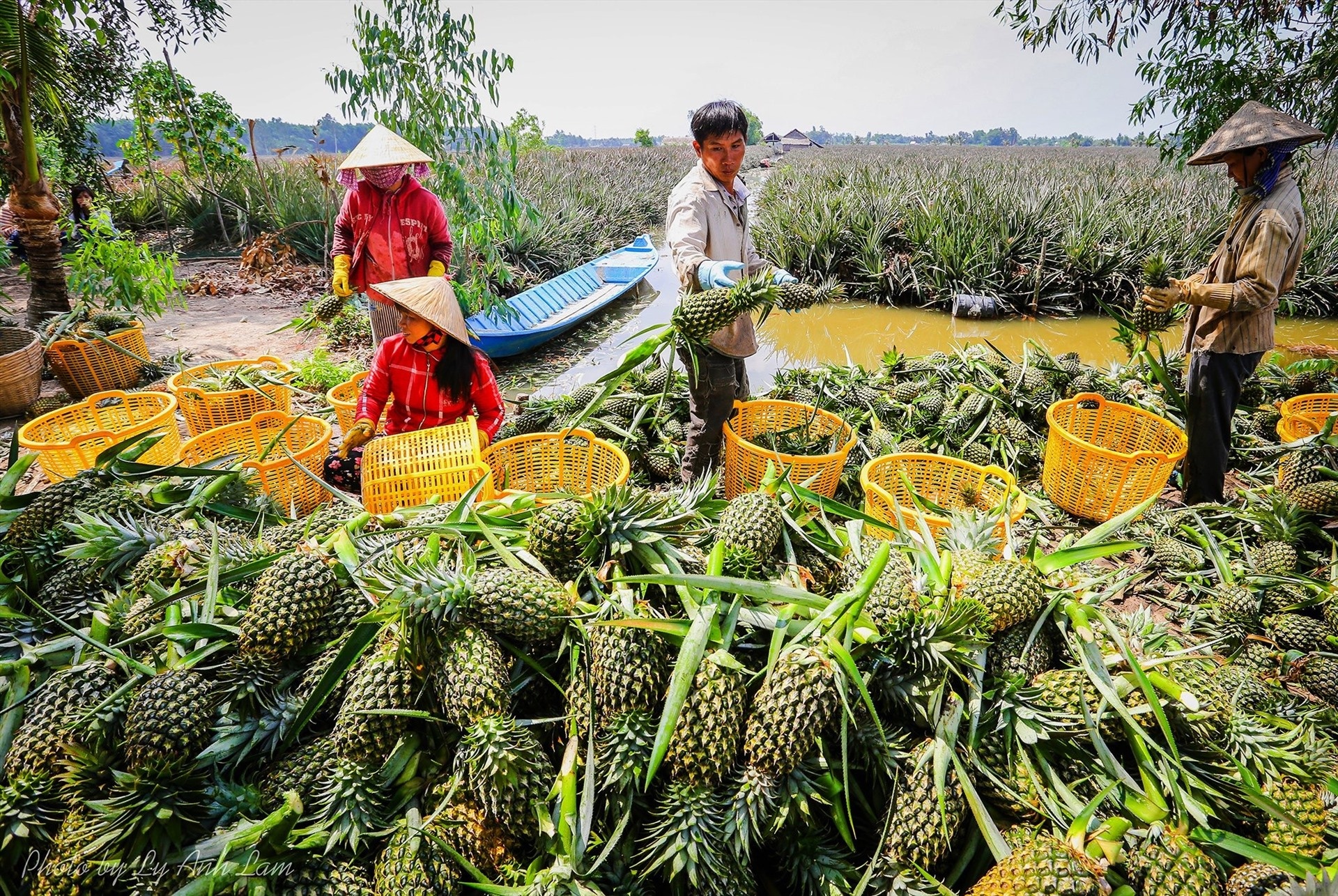 Để người dân vùng đồng bằng sông Cửu Long “ly nông bất ly hương”