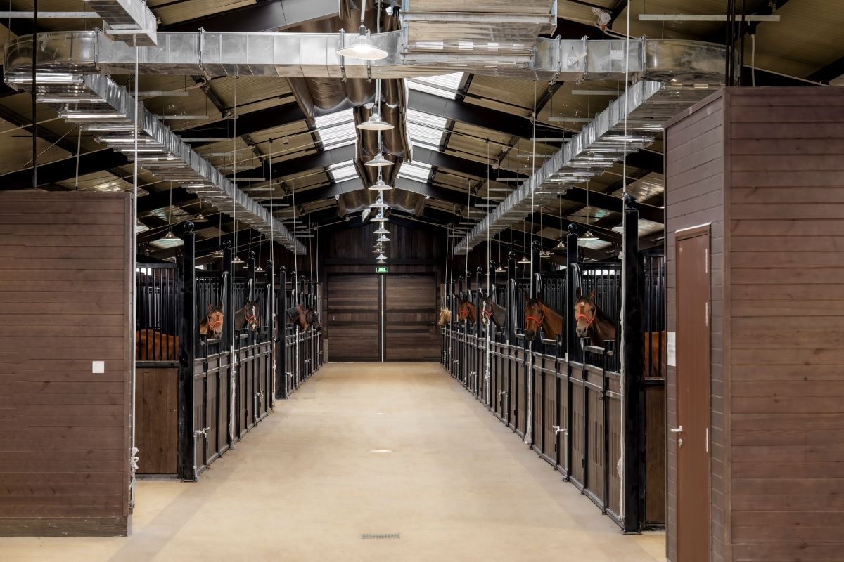 Vì sao điểm đến “hot trend” mùa hè 2024 gọi tên Vũ Yên? Vì sao điểm đến “hot trend” mùa hè 2024 gọi tên Vũ Yên?