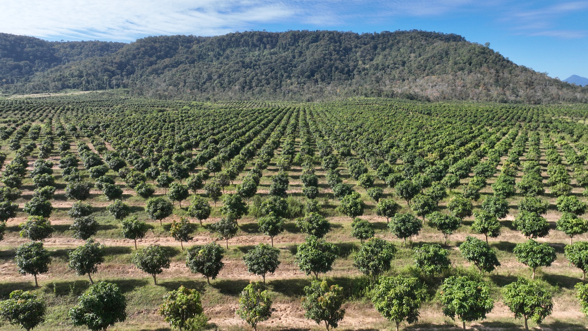 THACO đẩy mạnh tuyển dụng nhân sự và chăm lo đời sống người lao động THACO đẩy mạnh tuyển dụng nhân sự và chăm lo đời sống người lao động
