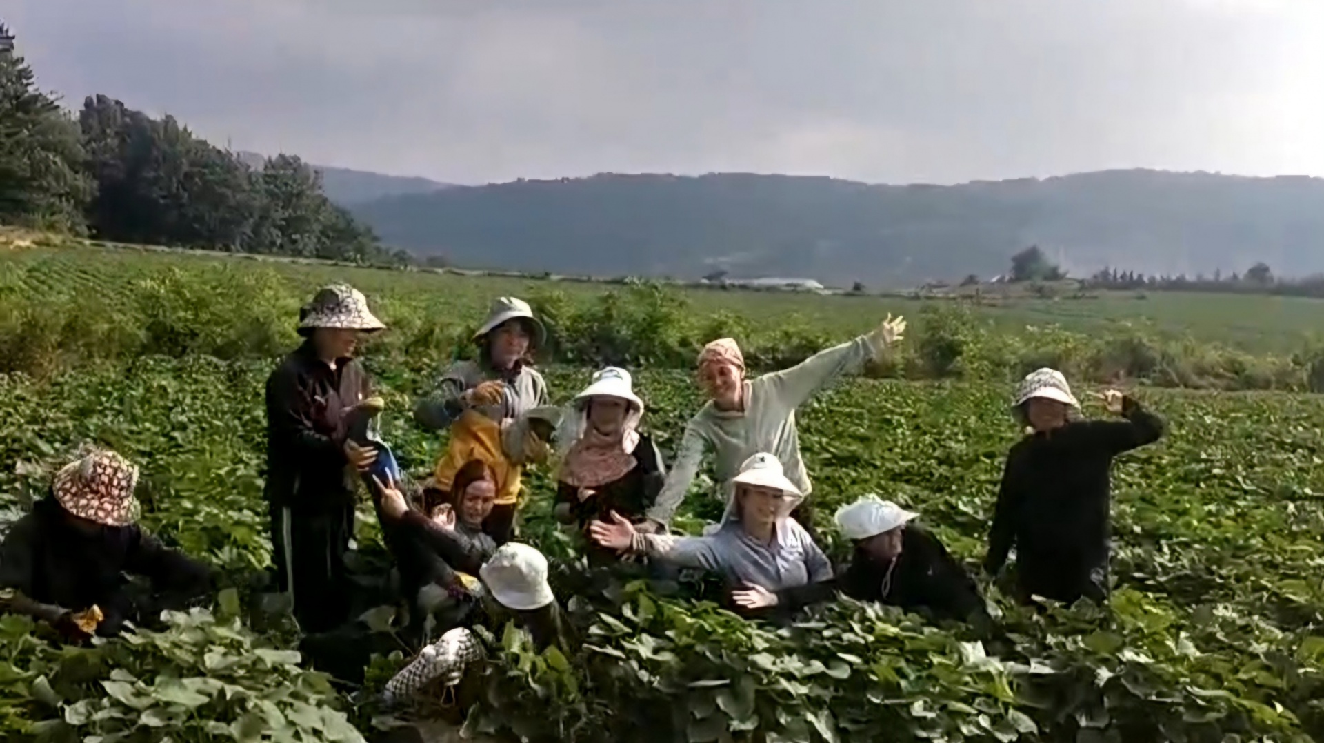Đắk Lắk giải bài toán khó bằng “việc làm ngắn hạn” đồng bào thiểu số Đắk Lắk giải bài toán khó bằng “việc làm ngắn hạn” đồng bào thiểu số