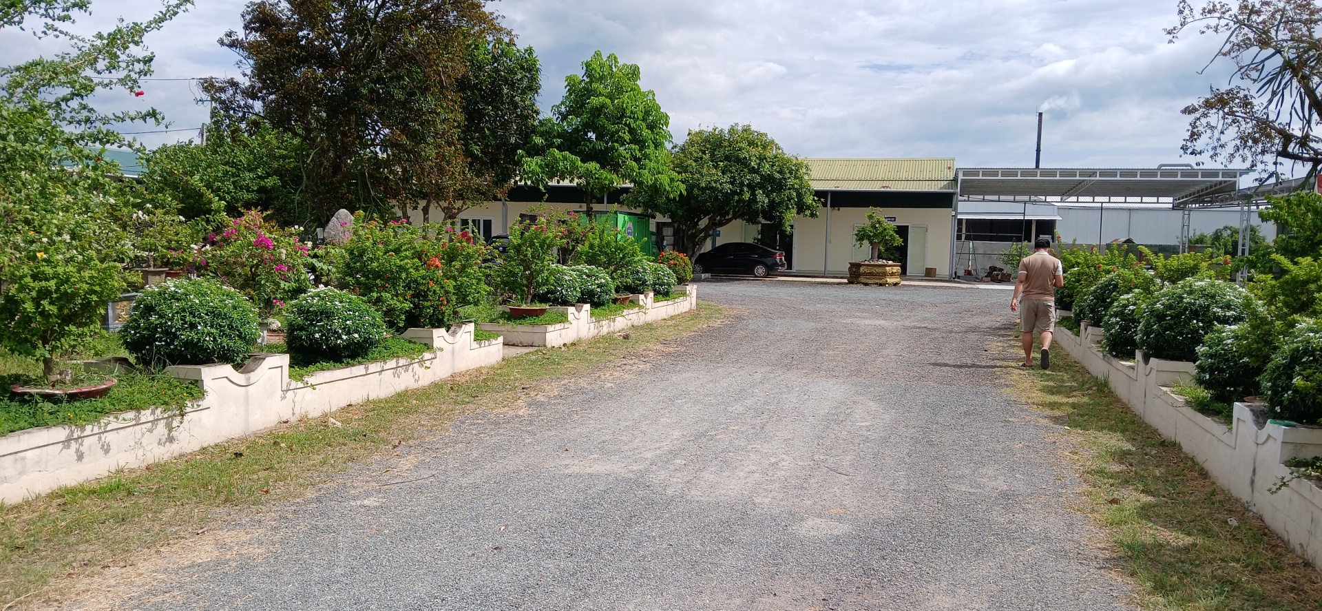 Người khởi nghiệp Từ Phong