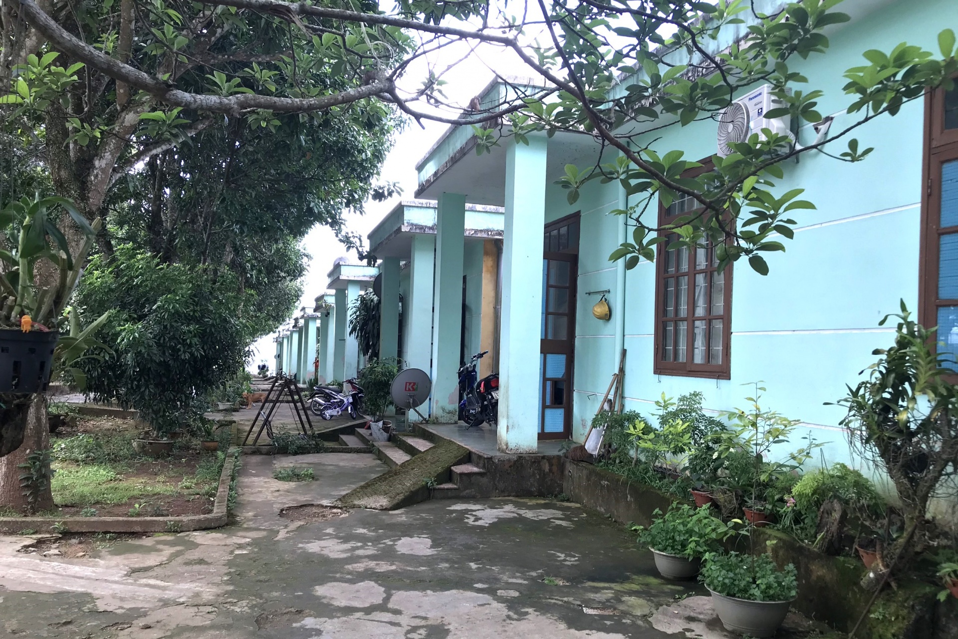 Công ty Thủy điện Quảng Trị và câu chuyện “đất lạ hóa quê hương”… Công ty Thủy điện Quảng Trị và câu chuyện “đất lạ hóa quê hương”…