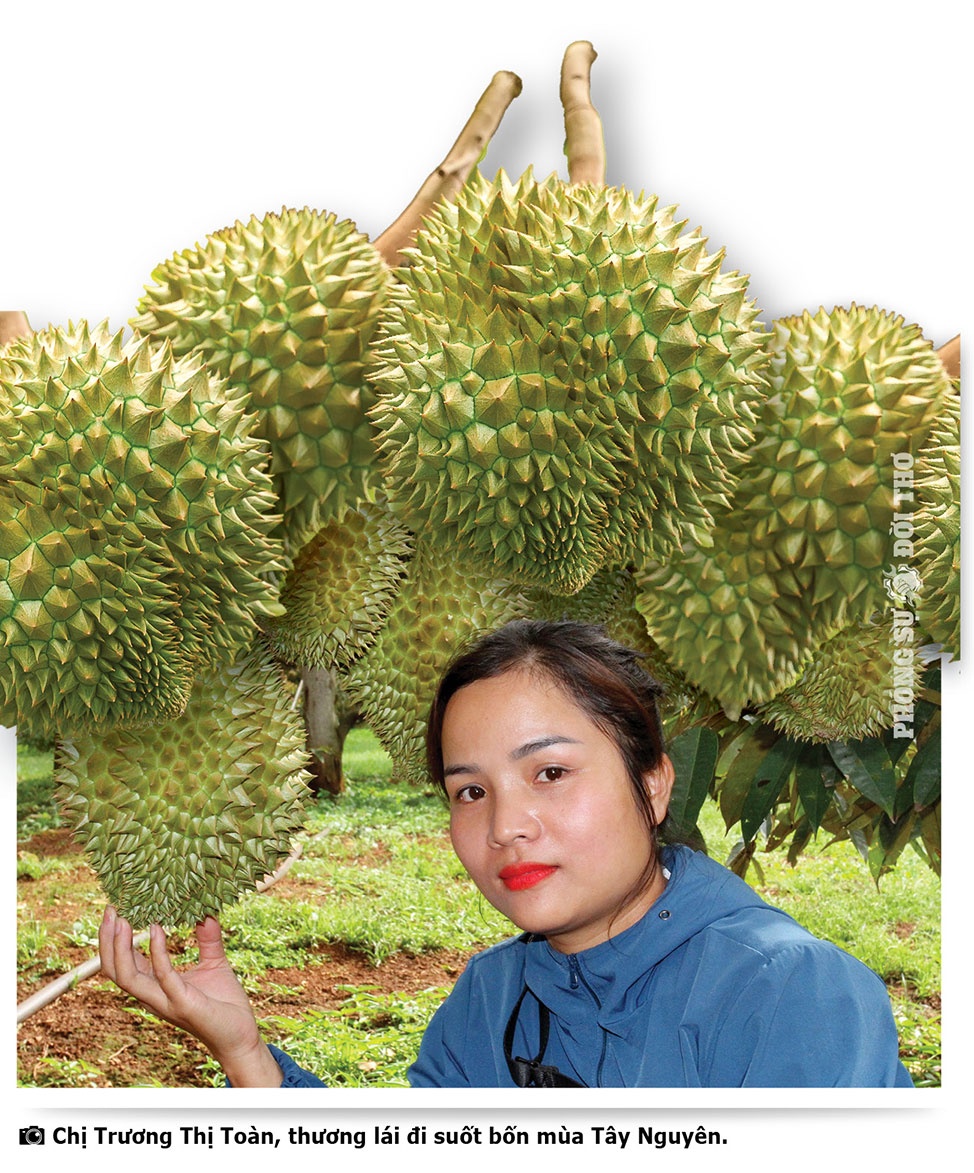 Những người đi giữa bốn mùa Tây Nguyên Những người đi giữa bốn mùa Tây Nguyên