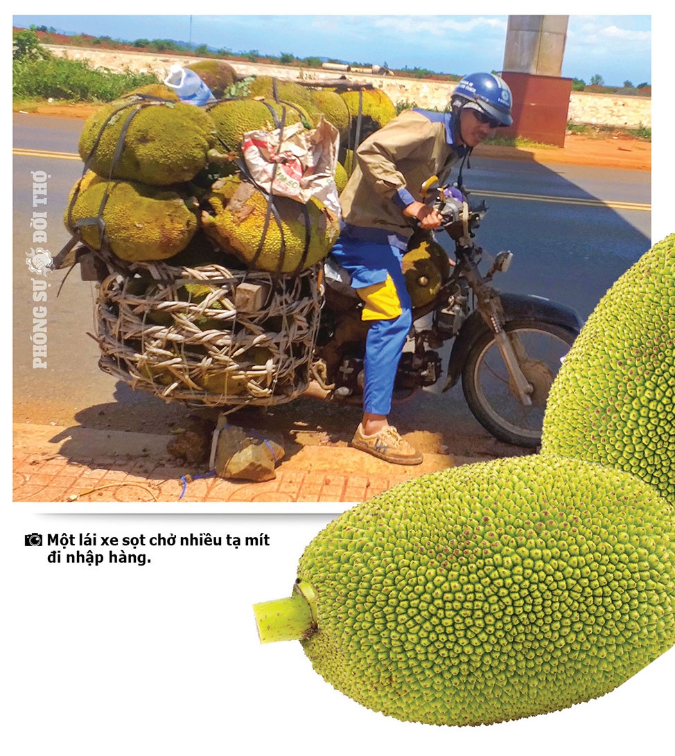 Những người đi giữa bốn mùa Tây Nguyên Những người đi giữa bốn mùa Tây Nguyên