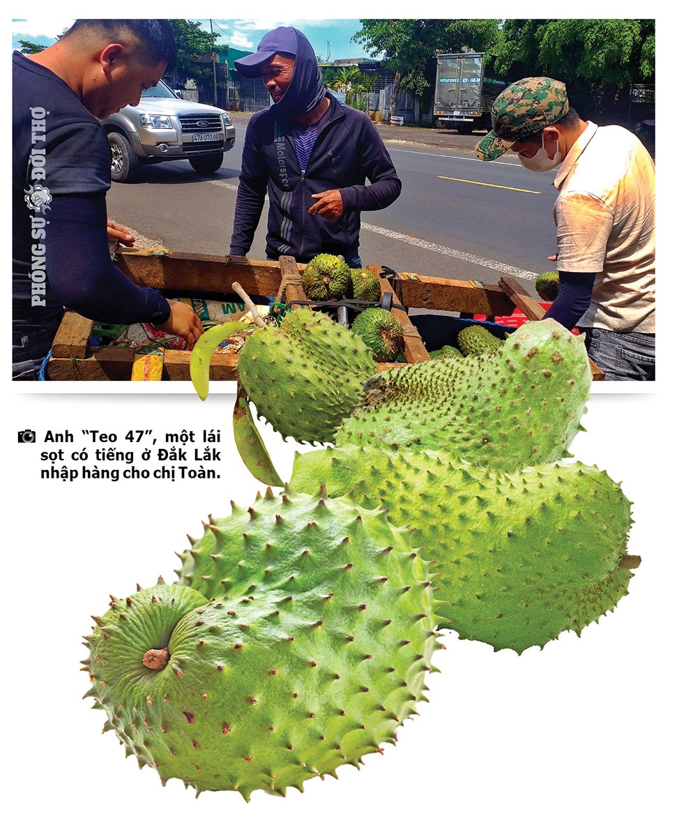 Những người đi giữa bốn mùa Tây Nguyên Những người đi giữa bốn mùa Tây Nguyên