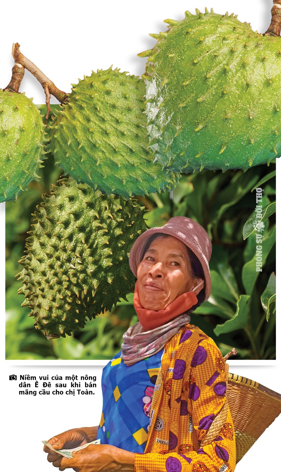 Những người đi giữa bốn mùa Tây Nguyên Những người đi giữa bốn mùa Tây Nguyên