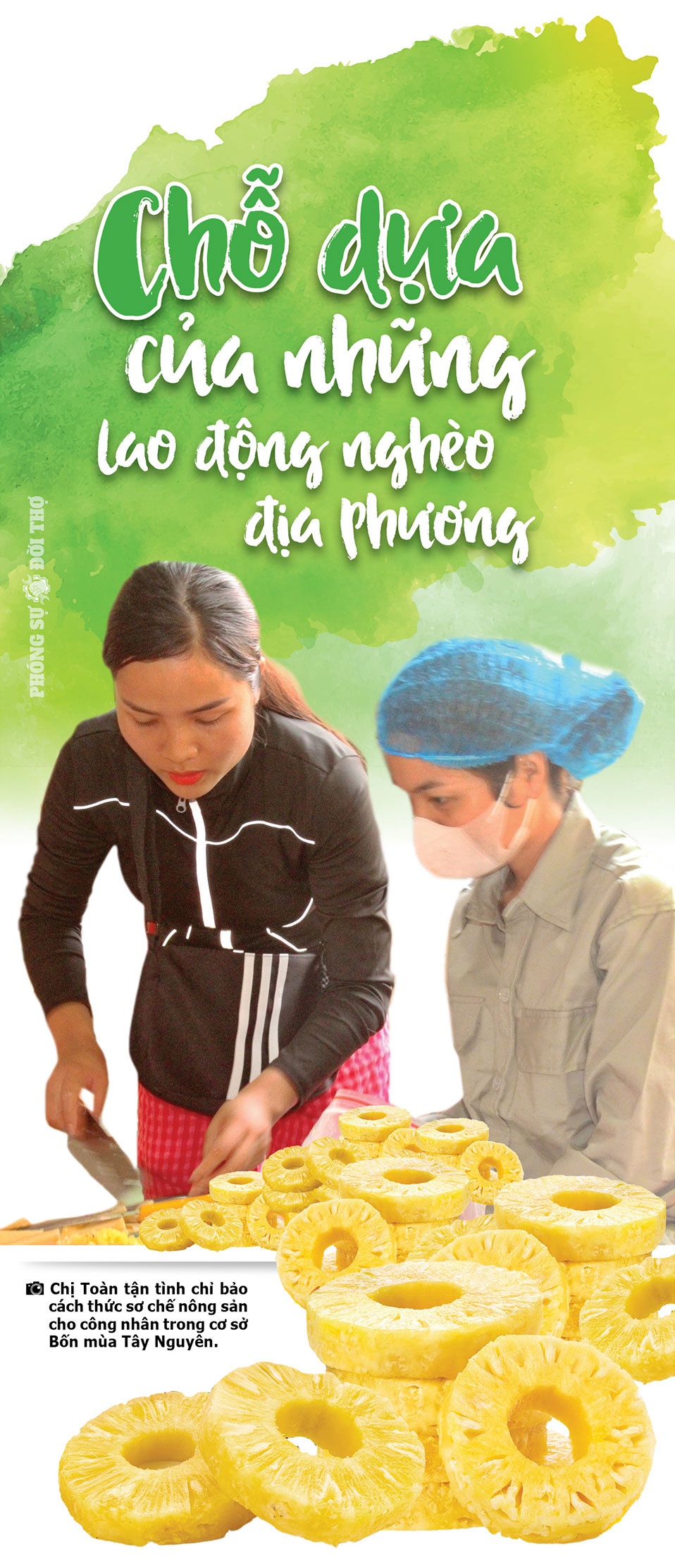 Những người đi giữa bốn mùa Tây Nguyên Những người đi giữa bốn mùa Tây Nguyên