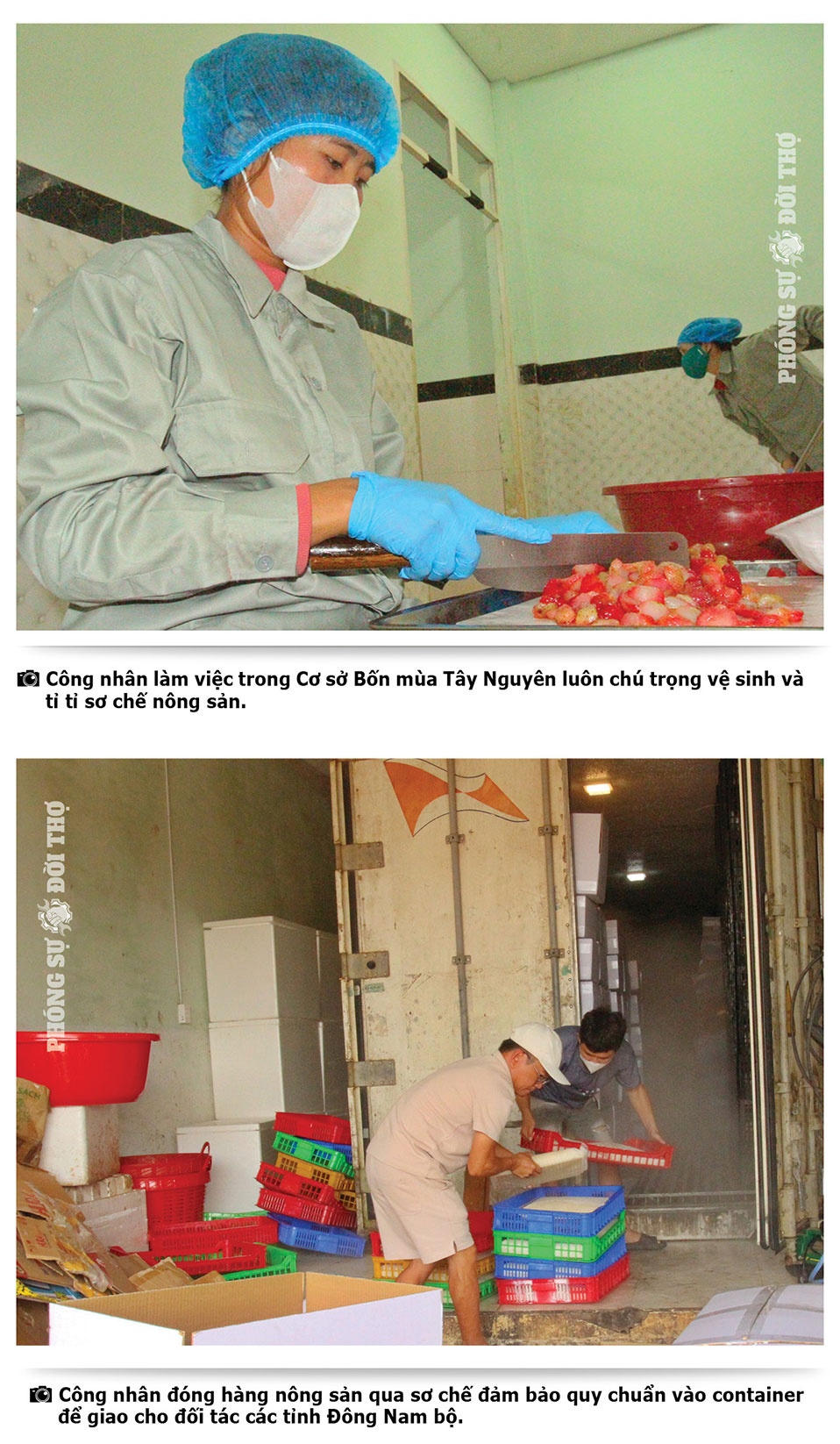 Những người đi giữa bốn mùa Tây Nguyên Những người đi giữa bốn mùa Tây Nguyên