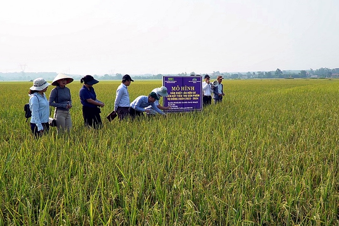 Dấu ấn Công đoàn Sở Nông nghiệp và PTNT tỉnh Quảng Trị trên con đường nông thôn mới