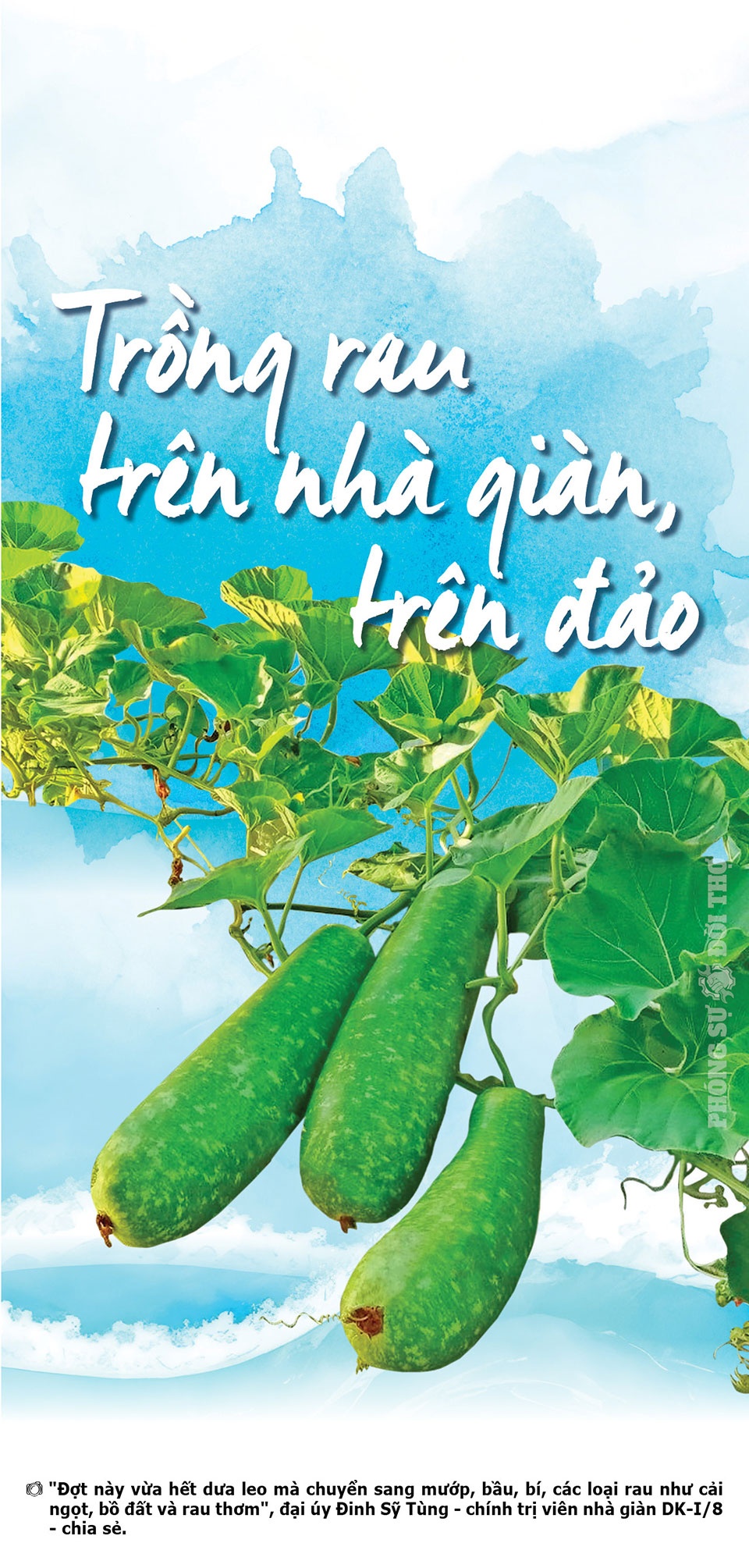 Những người “xây” Trường Sa xanh mãi