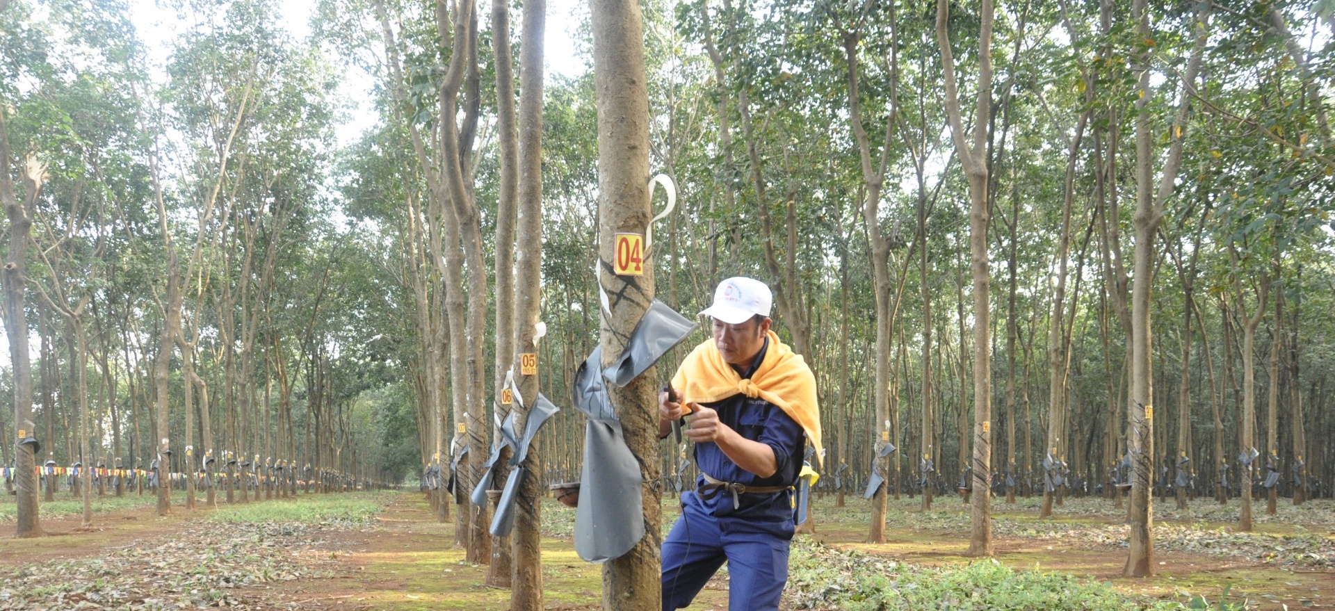 “Là công nhân thì làm gì, ở đâu cũng hết lòng, dốc sức”