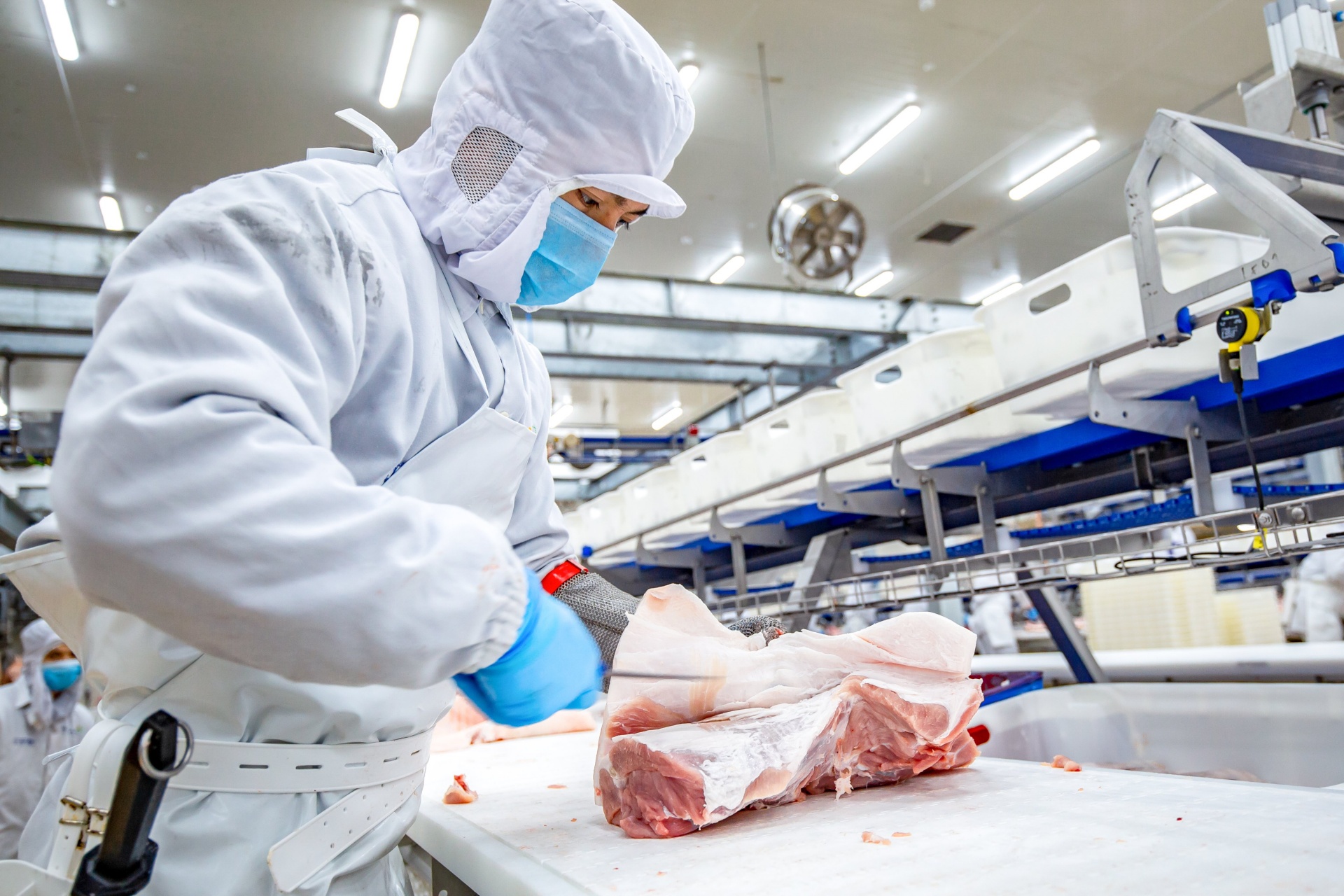 Công nghệ sản xuất thịt heo ủ mát theo công nghệ châu Âu Công nghệ sản xuất thịt heo ủ mát theo công nghệ châu Âu