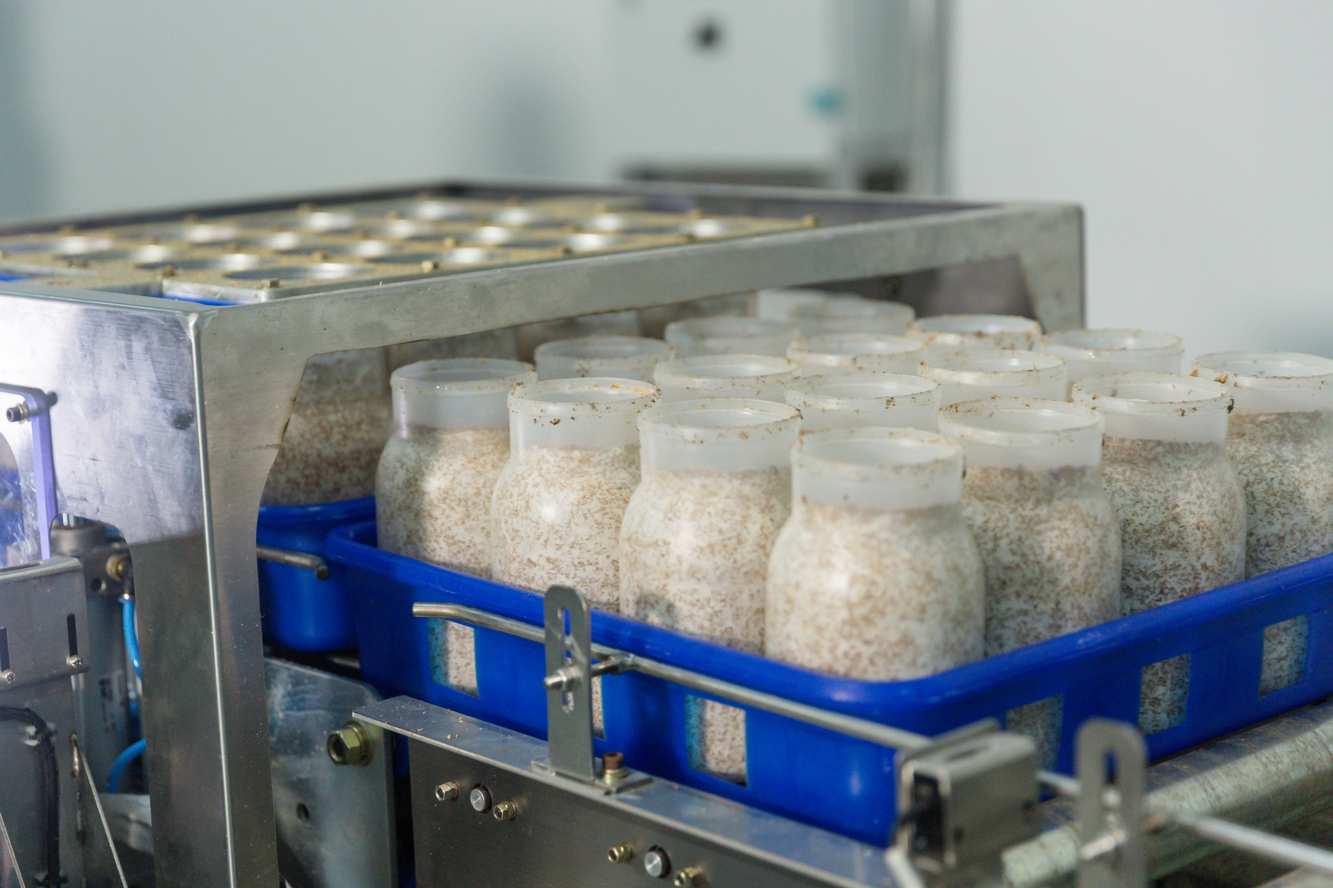 Quy trình nuôi trồng nấm sạch được áp dụng hệ thống dây chuyền sản xuất hiện đại chuyển giao trực tiếp từ Hàn Quốc với nguyên liệu được lựa chọn cẩn thận, đảm bảo năng suất và hàm lượng dinh dưỡng. Quy trình nuôi trồng nấm sạch được áp dụng hệ thống dây chuyền sản xuất hiện đại chuyển giao trực tiếp từ Hàn Quốc với nguyên liệu được lựa chọn cẩn thận, đảm bảo năng suất và hàm lượng dinh dưỡng.