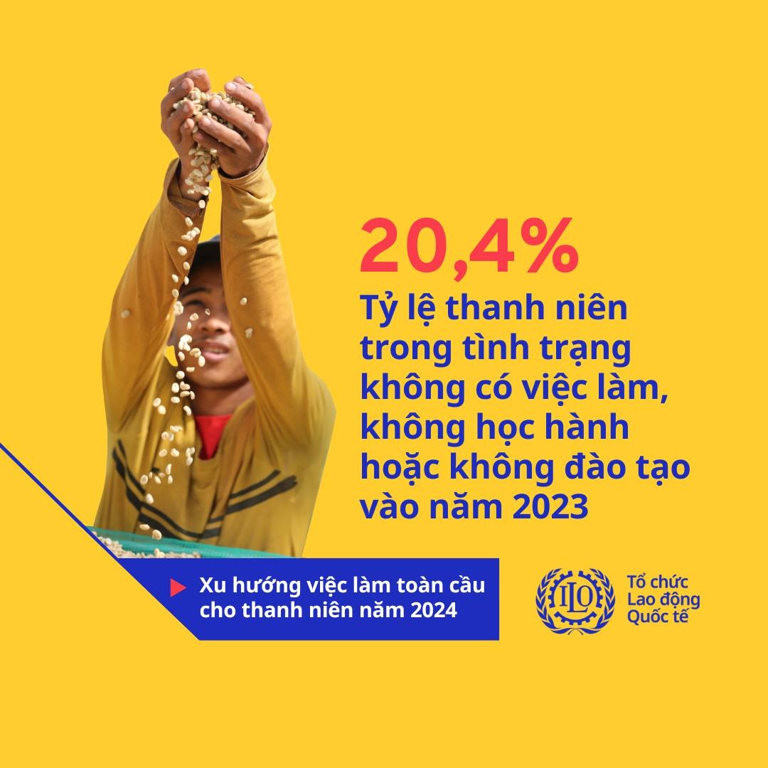 Hơn 1/5 thanh niên toàn cầu tuổi từ 15-24 không có việc làm, giáo dục hoặc đào tạo Hơn 1/5 thanh niên toàn cầu tuổi từ 15-24 không có việc làm, giáo dục hoặc đào tạo