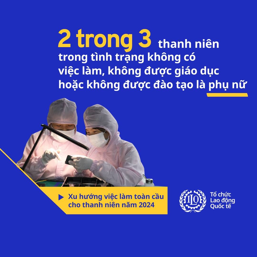 Hơn 1/5 thanh niên toàn cầu tuổi từ 15-24 không có việc làm, giáo dục hoặc đào tạo Hơn 1/5 thanh niên toàn cầu tuổi từ 15-24 không có việc làm, giáo dục hoặc đào tạo