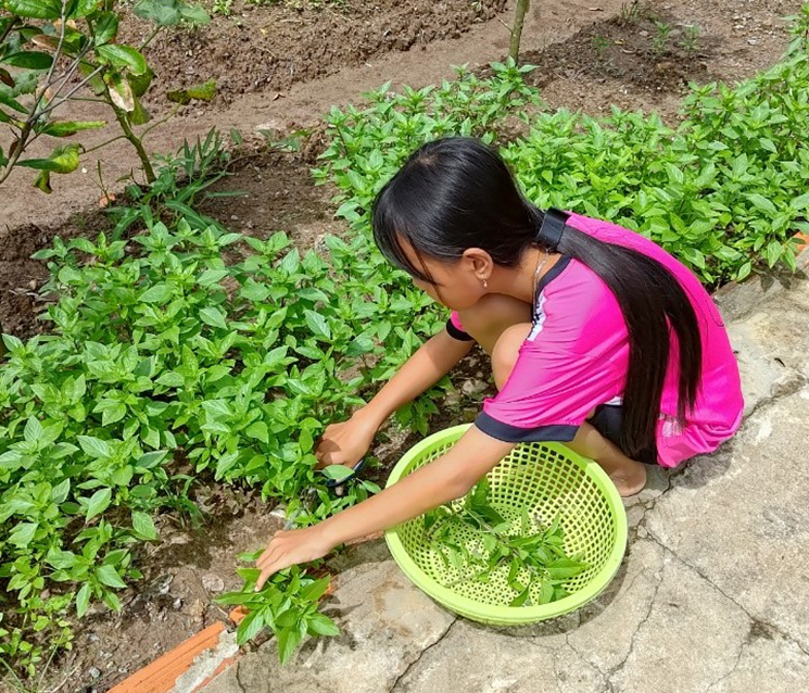 Em Ngô T. T. H (12 tuổi, nhận học bổng từ Quỹ từ thiện Bông Hồng Nhỏ) cắt rau phụ bà đem bán để kiếm thêm ít tiền đóng học phí